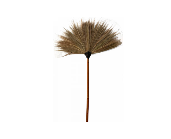 ไม้กวาด ดอกหญ้า