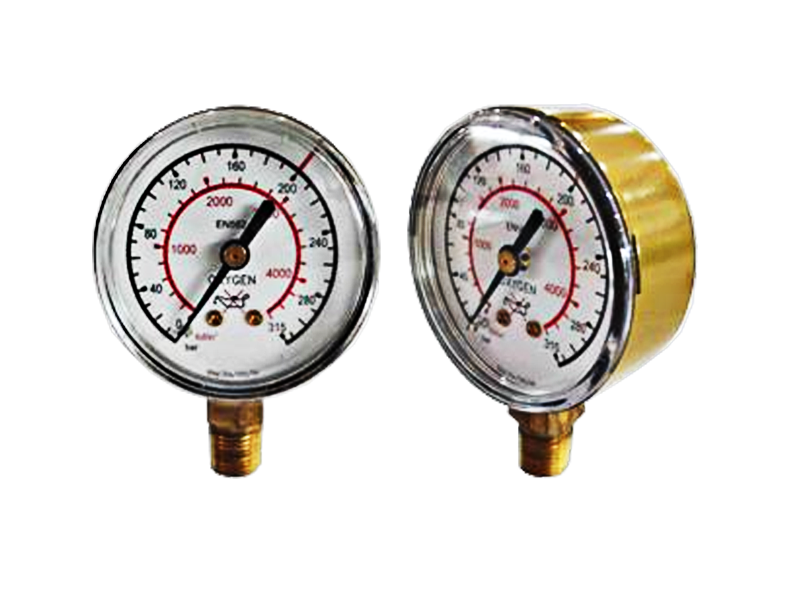 MORRIS gauge cluster