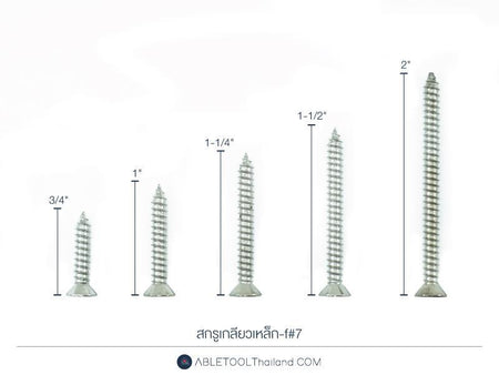 สกรูเกลียวเหล็ก #P และ #F แบบกล่อง Cross Pan Head and Flat Self Tapping Screw-ABLETOOLThailand.Com - บริษัท เอเบิลทูล จำกัด